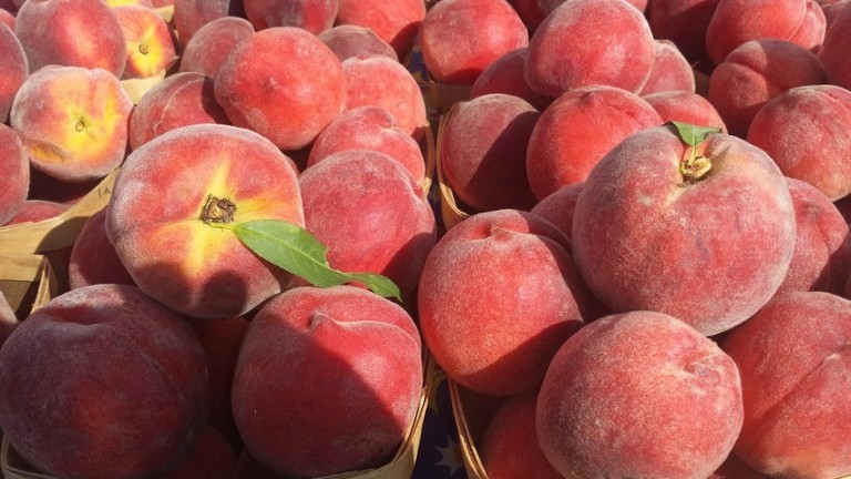 Peach season is here!