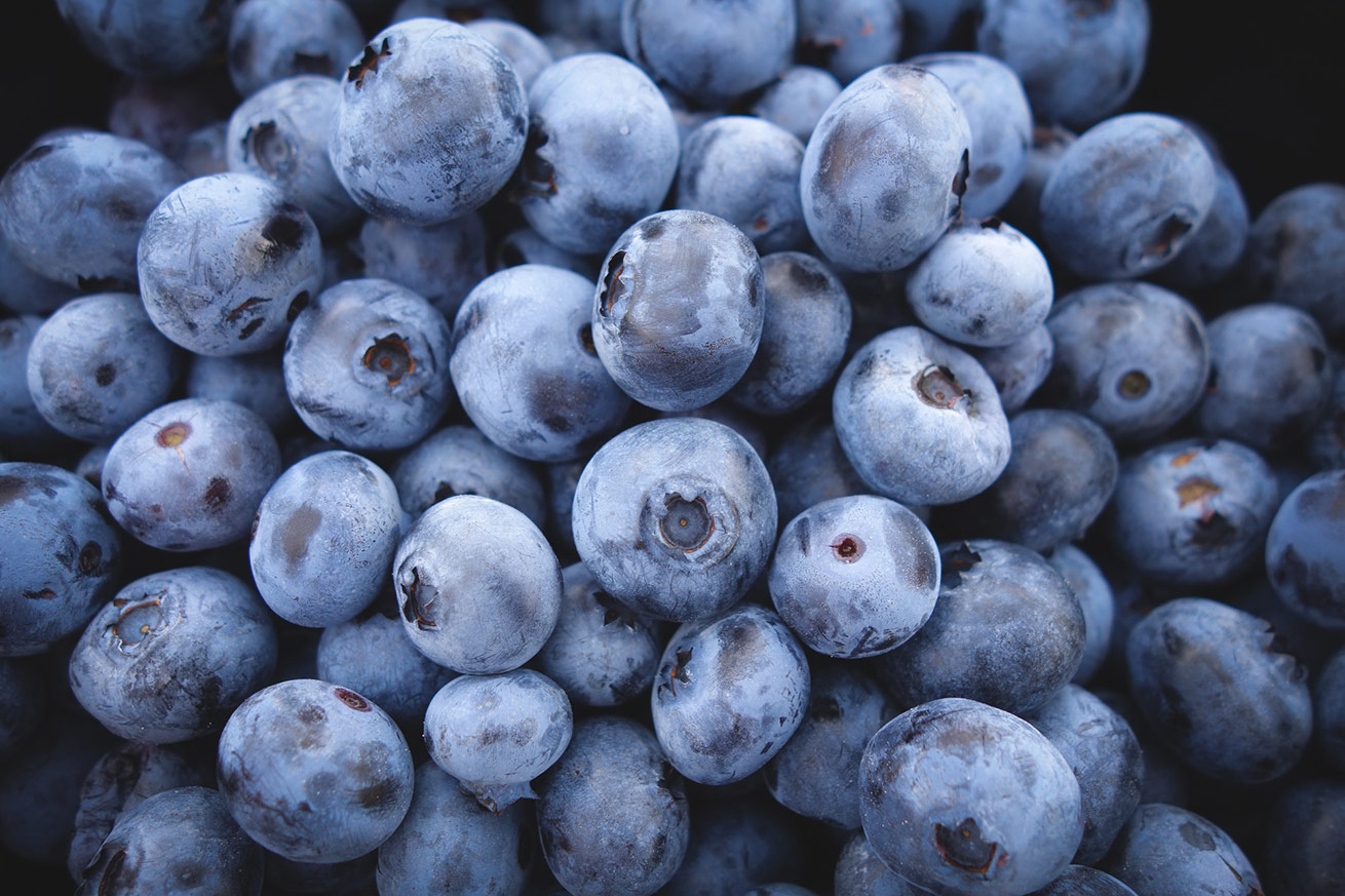 photo of blueberries from Mood's Farm in NJ